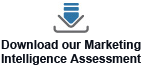 Marketing Intelligence Assessment